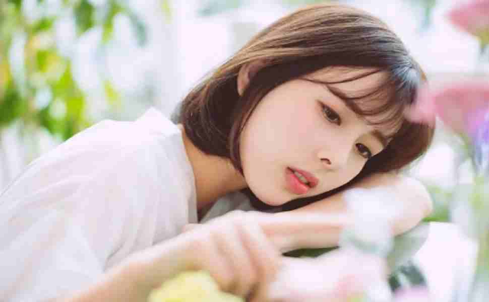 热门动漫4